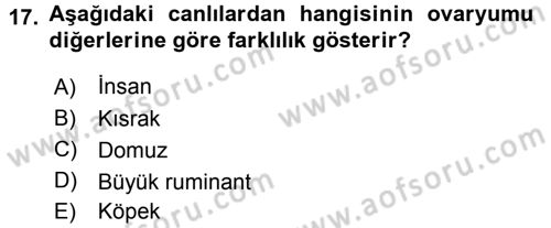 Temel Veteriner Histoloji ve Embriyoloji Dersi 2015 - 2016 Yılı (Final) Dönem Sonu Sınav Soruları 17. Soru