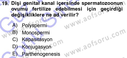 Temel Veteriner Histoloji ve Embriyoloji Dersi 2015 - 2016 Yılı (Final) Dönem Sonu Sınav Soruları 19. Soru