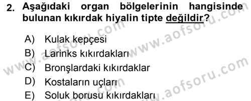Temel Veteriner Histoloji ve Embriyoloji Dersi 2015 - 2016 Yılı (Final) Dönem Sonu Sınav Soruları 2. Soru
