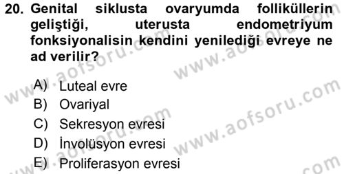 Temel Veteriner Histoloji ve Embriyoloji Dersi 2015 - 2016 Yılı (Final) Dönem Sonu Sınav Soruları 20. Soru