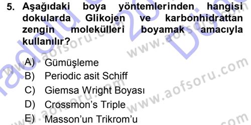 Temel Veteriner Histoloji ve Embriyoloji Dersi 2015 - 2016 Yılı (Final) Dönem Sonu Sınav Soruları 5. Soru