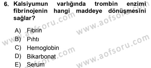 Temel Veteriner Histoloji ve Embriyoloji Dersi 2015 - 2016 Yılı (Final) Dönem Sonu Sınav Soruları 6. Soru