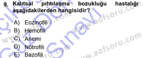 Temel Veteriner Histoloji ve Embriyoloji Dersi 2015 - 2016 Yılı (Final) Dönem Sonu Sınav Soruları 9. Soru