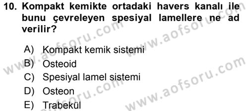 Temel Veteriner Histoloji ve Embriyoloji Dersi 2015 - 2016 Yılı Tek Ders Sınav Soruları 10. Soru