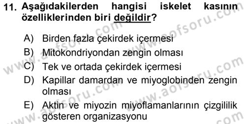 Temel Veteriner Histoloji ve Embriyoloji Dersi 2015 - 2016 Yılı Tek Ders Sınav Soruları 11. Soru