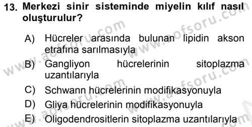 Temel Veteriner Histoloji ve Embriyoloji Dersi 2015 - 2016 Yılı Tek Ders Sınav Soruları 13. Soru
