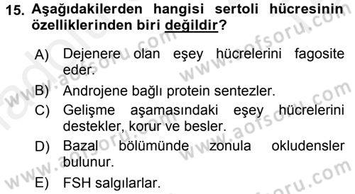 Temel Veteriner Histoloji ve Embriyoloji Dersi 2015 - 2016 Yılı Tek Ders Sınav Soruları 15. Soru