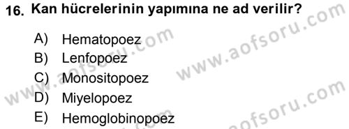 Temel Veteriner Histoloji ve Embriyoloji Dersi 2015 - 2016 Yılı Tek Ders Sınav Soruları 16. Soru