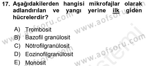 Temel Veteriner Histoloji ve Embriyoloji Dersi 2015 - 2016 Yılı Tek Ders Sınav Soruları 17. Soru
