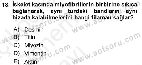 Temel Veteriner Histoloji ve Embriyoloji Dersi 2015 - 2016 Yılı Tek Ders Sınav Soruları 18. Soru