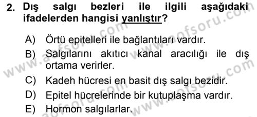 Temel Veteriner Histoloji ve Embriyoloji Dersi 2015 - 2016 Yılı Tek Ders Sınav Soruları 2. Soru