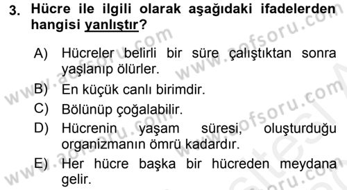 Temel Veteriner Histoloji ve Embriyoloji Dersi 2015 - 2016 Yılı Tek Ders Sınav Soruları 3. Soru