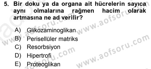 Temel Veteriner Histoloji ve Embriyoloji Dersi 2015 - 2016 Yılı Tek Ders Sınav Soruları 5. Soru