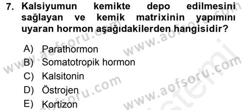 Temel Veteriner Histoloji ve Embriyoloji Dersi 2015 - 2016 Yılı Tek Ders Sınav Soruları 7. Soru