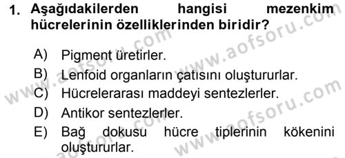 Temel Veteriner Histoloji ve Embriyoloji Dersi 2016 - 2017 Yılı 3 Ders Sınav Soruları 1. Soru