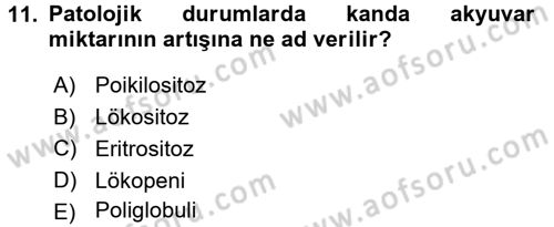 Temel Veteriner Histoloji ve Embriyoloji Dersi 2016 - 2017 Yılı 3 Ders Sınav Soruları 11. Soru