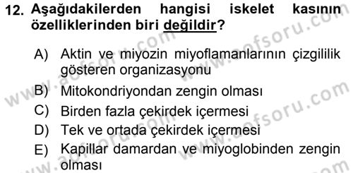 Temel Veteriner Histoloji ve Embriyoloji Dersi 2016 - 2017 Yılı 3 Ders Sınav Soruları 12. Soru