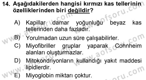 Temel Veteriner Histoloji ve Embriyoloji Dersi 2016 - 2017 Yılı 3 Ders Sınav Soruları 14. Soru