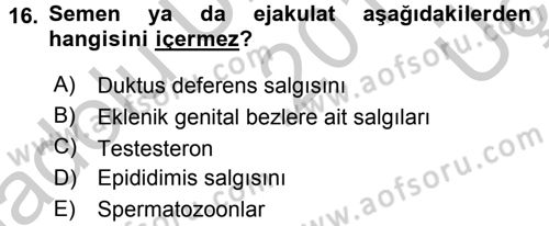 Temel Veteriner Histoloji ve Embriyoloji Dersi 2016 - 2017 Yılı 3 Ders Sınav Soruları 16. Soru