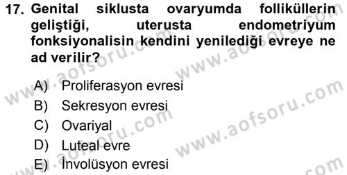Temel Veteriner Histoloji ve Embriyoloji Dersi 2016 - 2017 Yılı 3 Ders Sınav Soruları 17. Soru
