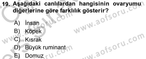 Temel Veteriner Histoloji ve Embriyoloji Dersi 2016 - 2017 Yılı 3 Ders Sınav Soruları 19. Soru