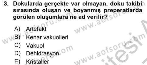 Temel Veteriner Histoloji ve Embriyoloji Dersi 2016 - 2017 Yılı 3 Ders Sınav Soruları 3. Soru