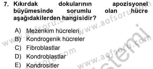 Temel Veteriner Histoloji ve Embriyoloji Dersi 2016 - 2017 Yılı 3 Ders Sınav Soruları 7. Soru