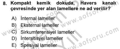 Temel Veteriner Histoloji ve Embriyoloji Dersi 2016 - 2017 Yılı 3 Ders Sınav Soruları 8. Soru