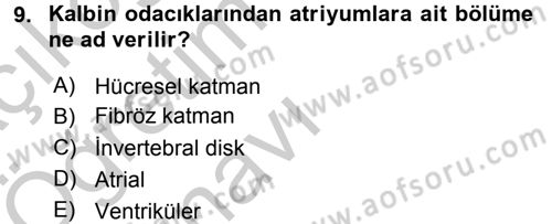 Temel Veteriner Histoloji ve Embriyoloji Dersi 2016 - 2017 Yılı 3 Ders Sınav Soruları 9. Soru