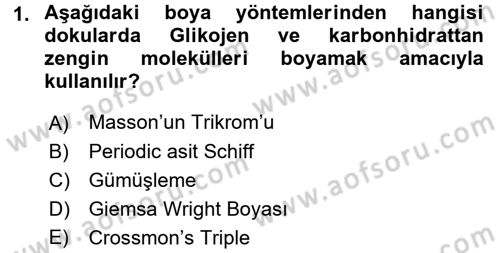 Temel Veteriner Histoloji ve Embriyoloji Dersi Ara Sınavı Deneme Sınav Soruları 1. Soru
