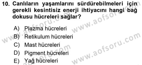 Temel Veteriner Histoloji ve Embriyoloji Dersi 2016 - 2017 Yılı (Vize) Ara Sınav Soruları 10. Soru