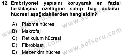 Temel Veteriner Histoloji ve Embriyoloji Dersi Ara Sınavı Deneme Sınav Soruları 12. Soru