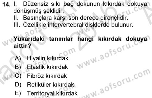 Temel Veteriner Histoloji ve Embriyoloji Dersi 2016 - 2017 Yılı (Vize) Ara Sınav Soruları 14. Soru