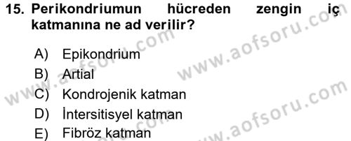 Temel Veteriner Histoloji ve Embriyoloji Dersi Ara Sınavı Deneme Sınav Soruları 15. Soru
