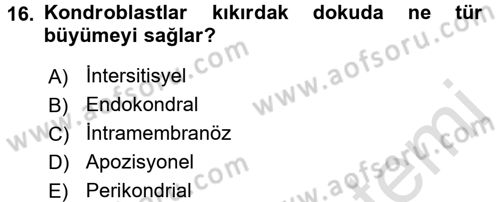 Temel Veteriner Histoloji ve Embriyoloji Dersi Ara Sınavı Deneme Sınav Soruları 16. Soru