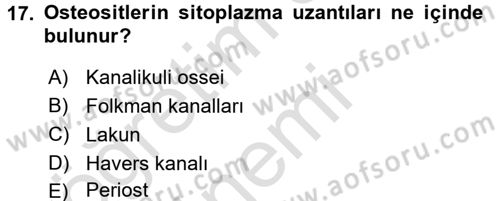 Temel Veteriner Histoloji ve Embriyoloji Dersi 2016 - 2017 Yılı (Vize) Ara Sınav Soruları 17. Soru