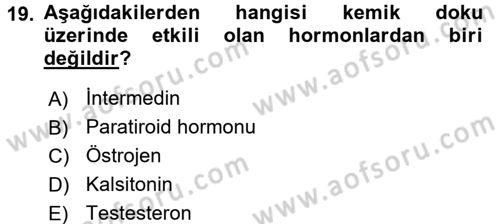 Temel Veteriner Histoloji ve Embriyoloji Dersi Ara Sınavı Deneme Sınav Soruları 19. Soru