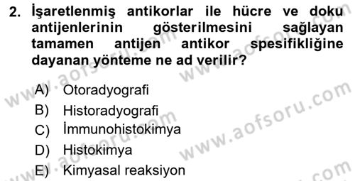 Temel Veteriner Histoloji ve Embriyoloji Dersi 2016 - 2017 Yılı (Vize) Ara Sınav Soruları 2. Soru