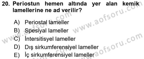 Temel Veteriner Histoloji ve Embriyoloji Dersi Ara Sınavı Deneme Sınav Soruları 20. Soru