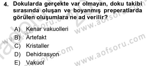 Temel Veteriner Histoloji ve Embriyoloji Dersi 2016 - 2017 Yılı (Vize) Ara Sınav Soruları 4. Soru
