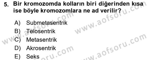 Temel Veteriner Histoloji ve Embriyoloji Dersi Ara Sınavı Deneme Sınav Soruları 5. Soru
