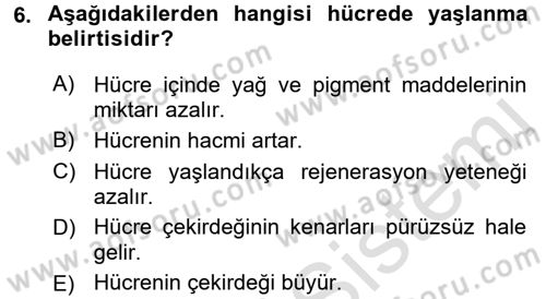 Temel Veteriner Histoloji ve Embriyoloji Dersi Ara Sınavı Deneme Sınav Soruları 6. Soru
