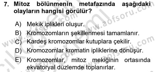 Temel Veteriner Histoloji ve Embriyoloji Dersi Ara Sınavı Deneme Sınav Soruları 7. Soru