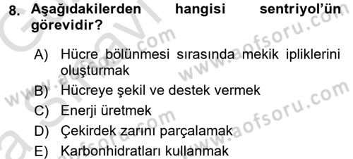 Temel Veteriner Histoloji ve Embriyoloji Dersi 2016 - 2017 Yılı (Vize) Ara Sınav Soruları 8. Soru