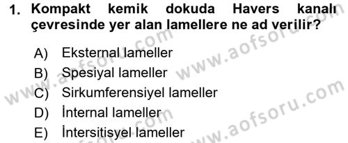 Temel Veteriner Histoloji ve Embriyoloji Dersi 2016 - 2017 Yılı (Final) Dönem Sonu Sınav Soruları 1. Soru