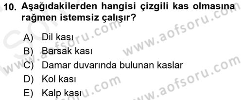 Temel Veteriner Histoloji ve Embriyoloji Dersi 2016 - 2017 Yılı (Final) Dönem Sonu Sınav Soruları 10. Soru