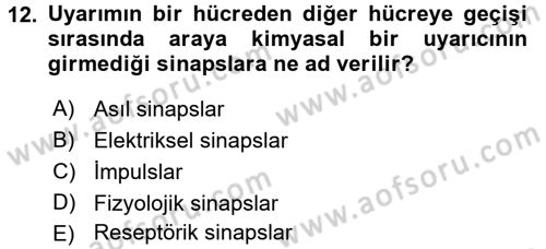 Temel Veteriner Histoloji ve Embriyoloji Dersi 2016 - 2017 Yılı (Final) Dönem Sonu Sınav Soruları 12. Soru