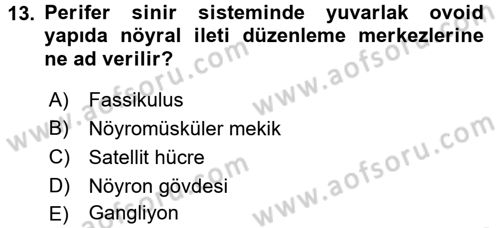Temel Veteriner Histoloji ve Embriyoloji Dersi 2016 - 2017 Yılı (Final) Dönem Sonu Sınav Soruları 13. Soru