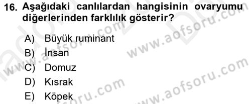 Temel Veteriner Histoloji ve Embriyoloji Dersi 2016 - 2017 Yılı (Final) Dönem Sonu Sınav Soruları 16. Soru