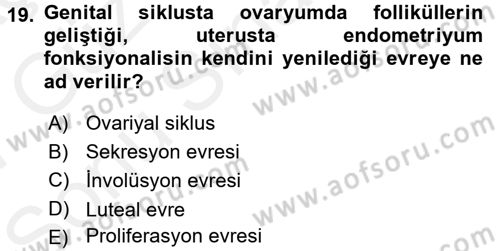Temel Veteriner Histoloji ve Embriyoloji Dersi 2016 - 2017 Yılı (Final) Dönem Sonu Sınav Soruları 19. Soru